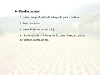 A - Escolha do local

     solos com profundidade adequada para a cultura;

     bem drenados;

     aeração (estrutura do solo);

       luminosidade – X horas de luz para florescer, planta
    de sombra, planta de sol.
 