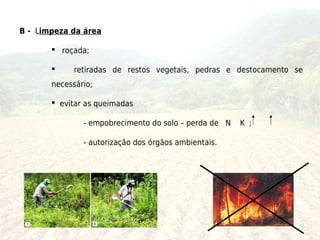 B - Limpeza da área

        roçada;

            retiradas de restos vegetais, pedras e destocamento se
       necessário;

        evitar as queimadas

               - empobrecimento do solo – perda de N   K ;

               - autorização dos órgãos ambientais.
 