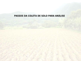 PASSOS DA COLETA DE SOLO PARA ANÁLISE
 
