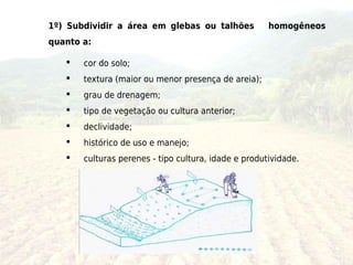 1º) Subdividir a área em glebas ou talhões            homogêneos
quanto a:

      cor do solo;
      textura (maior ou menor presença de areia);
      grau de drenagem;
      tipo de vegetação ou cultura anterior;
      declividade;
      histórico de uso e manejo;
      culturas perenes - tipo cultura, idade e produtividade.
 