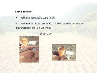 Como coletar:

   retirar a vegetação superficial;

   retirar a terra com enxadão, trado ou tubo de pvc a uma
profundidade de: 0 a 20 cm ou

                     20 a 40 cm
 