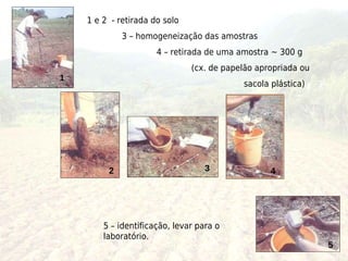 1 e 2 - retirada do solo
             3 – homogeneização das amostras
                      4 – retirada de uma amostra ~ 300 g
                               (cx. de papelão apropriada ou
1
                                           sacola plástica)




         2                         3              4




        5 – identificação, levar para o
        laboratório.
                                                               5
 