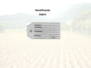 Identificação
   (lápis)
 