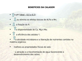 BENEFÍCIOS DA CALAGEM


   o pH (ideal – 6,0 a 6,5);

      ou elimina os efeitos tóxicos do Al,Fe e Mn;

     a fixação do P;

     a disponibilidade de Ca, Mg e Mo;

     a eficiência dos adubos *;

    a atividade microbiana e a liberação de nutrientes contidos na
matéria orgânica;

   melhora as propriedades físicas do solo:

    - a aeração e a movimentação de água favorecendo o
    desenvolvimento das raízes.
 
