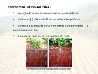 FOSFOGESSO (GESSO AGRÍCOLA )

      correção da acidez do solo em maiores profundidades;

      diminui as [ ]s tóxicas de Al nas camadas subsuperficiais;

      aumenta a quantidade de Ca melhorando o ambiente para        o
   crescimento radicular;

      em excesso pode causar o arrastamento do K;
 