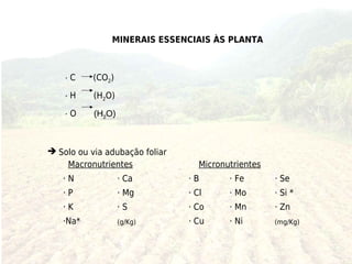 MINERAIS ESSENCIAIS ÀS PLANTA



    ·C     (CO2)

    ·H     (H2O)

    ·O     (H2O)



 Solo ou via adubação foliar
    Macronutrientes                Micronutrientes
   ·N              · Ca         ·B        · Fe       · Se
   ·P              · Mg         · Cl      · Mo       · Si *
   ·K              ·S           · Co      · Mn       · Zn
   ·Na*            (g/Kg)       · Cu      · Ni       (mg/Kg)
 