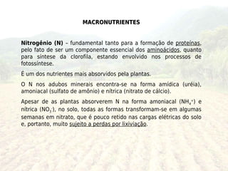 MACRONUTRIENTES


Nitrogênio (N) – fundamental tanto para a formação de proteínas,
pelo fato de ser um componente essencial dos aminoácidos, quanto
para síntese da clorofila, estando envolvido nos processos de
fotossíntese.
É um dos nutrientes mais absorvidos pela plantas.
O N nos adubos minerais encontra-se na forma amídica (uréia),
amoniacal (sulfato de amônio) e nítrica (nitrato de cálcio).
Apesar de as plantas absorverem N na forma amoniacal (NH4+) e
nítrica (NO3-), no solo, todas as formas transformam-se em algumas
semanas em nitrato, que é pouco retido nas cargas elétricas do solo
e, portanto, muito sujeito a perdas por lixiviação.
 
