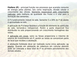 Fósforo (P) – principal função nos processos que acarreta consumo
de energia pelas plantas, tais como respiração, divisão celular e
crescimento das células. Elemento responsável pelo crescimento
radicular, pela melhoria da qualidade dos frutos e é vital para a
formação das sementes.
O P é praticamente imóvel no solo. Somente 5 a 20% do P do adubo
é aproveitado no solo.
A aplicação do P a lanço favorece a fixação do elemento às partículas
do solo, tornando-o indisponível. Porém a parte disponível fica
distribuída no solo proporcionando um crescimento homogêneo das
raízes.
A aplicação em covas, sulco ou faixas proporciona o máximo de
retorno do investimento em P, porém as raízes se concentram perto
do local que recebeu a adubação.
A adubação fosfatada deve ser realizada numa única aplicação, no
plantio. Quando em adubação de cobertura em culturas perenes
pode ser colocada a dose total do P no primeiro parcelamento dos
demais adubos.
 