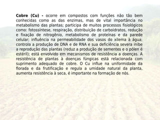 Cobre (Cu) - ocorre em compostos com funções não tão bem
conhecidas como as das enzimas, mas de vital importância no
metabolismo das plantas; participa de muitos processos fisiológicos
como: fotossíntese, respiração, distribuição de carboidratos, redução
e fixação de nitrogênio, metabolismo de proteínas e da parede
celular; influência na permeabilidade dos vasos do xilema à água;
controla a produção de DNA e de RNA e sua deficiência severa inibe
a reprodução das plantas (reduz a produção de sementes e o pólen é
estéril); está envolvido em mecanismos de resistência a doenças. A
resistência de plantas à doenças fúngicas está relacionada com
suprimento adequado de cobre. O Cu influe na uniformidade da
florada e da frutificação e regula a umidade natural da planta,
aumenta resistência à seca, é importante na formação de nós.
 