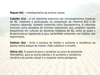 Níquel (Ni) – metaloproteína da enzima urease.

Cobalto (Co) - é um elemento essencial aos microorganismos fixadores
de N2, mediante a participação na composição da vitamina B12 e da
coezima cobamida, também conhecida como Dacobalamina. A cobamida
funciona como ativadora de enzimas importantes que catalizam reações
bioquímicas em culturas de bactérias fixadoras de N2, entre as quais o
Bradyrhizobium japonicum e seus bacteróides presentes nos nódulos das
leguminosas.

Selênio (Se) – Evita o excesso de fosfato e aumenta a resistência da
planta contra ataque de insetos. Pode substituir o enxofre.

Silício (Si) -É essencial para a cavalinha ou junco de polimento
(Pteridófita), para as outras plantas o Si aumenta a resistência
mecânica da parede celular e a resposta contra patógenos.
 