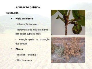 ADUBAÇÃO QUÍMICA

CUIDADOS

     Meio ambiente

      - salinização do solo;

      - incremento de nitrato e nitrito
      nas águas subterrâneas;

      -    energia gasta na produção
      dos adubos .

     Planta

      - Toxidez , “queima”;

      - Murcha e seca.
 