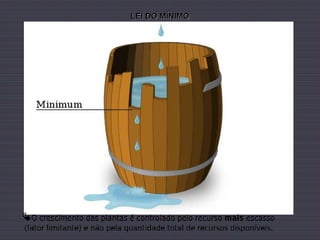 LEI DO MÍNIMO




O crescimento das plantas é controlado pelo recurso mais escasso
 (fator limitante) e não pela quantidade total de recursos disponíveis.
 