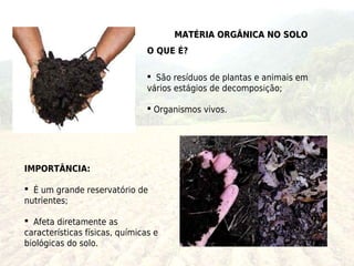 MATÉRIA ORGÂNICA NO SOLO
                                O QUE É?

                                 São resíduos de plantas e animais em
                                vários estágios de decomposição;

                                 Organismos vivos.




IMPORTÂNCIA:

 É um grande reservatório de
nutrientes;

 Afeta diretamente as
características físicas, químicas e
biológicas do solo.
 