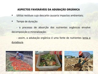 ASPECTOS FAVORÁVEIS DA ADUBAÇÃO ORGÂNICA

   Utiliza resíduos cujo descarte causaria impactos ambientais;

   Tempo de duração:

    - o processo de absorção dos nutrientes orgânicos envolve
decomposição e mineralização;

    - assim, a adubação orgânica é uma fonte de nutrientes lenta e
duradoura.
 