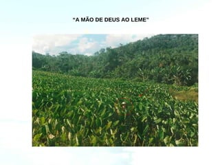 “A MÃO DE DEUS AO LEME”
 