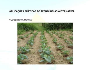 APLICAÇÕES PRÁTICAS DE TECNOLOGIAS ALTERNATIVA


• COBERTURA MORTA
 