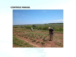 •CONTROLE MANUAL
 