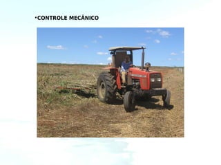 •CONTROLE MECÂNICO
 
