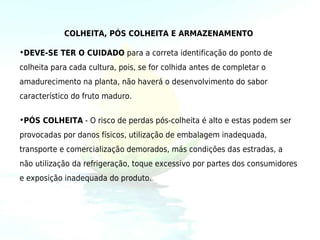COLHEITA, PÓS COLHEITA E ARMAZENAMENTO

•DEVE-SE TER O CUIDADO para a correta identificação do ponto de
colheita para cada cultura, pois, se for colhida antes de completar o
amadurecimento na planta, não haverá o desenvolvimento do sabor
característico do fruto maduro.

•PÓS COLHEITA - O risco de perdas pós-colheita é alto e estas podem ser
provocadas por danos físicos, utilização de embalagem inadequada,
transporte e comercialização demorados, más condições das estradas, a
não utilização da refrigeração, toque excessivo por partes dos consumidores
e exposição inadequada do produto.
 