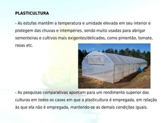 PLASTICULTURA

- As estufas mantêm a temperatura e umidade elevada em seu interior e
protegem das chuvas e intempéries, sendo muito usadas para abrigar
sementeiras e cultivos mais exigentes/delicados, como pimentão, tomate,
rosas etc. 




- As pesquisas comparativas apontam para um rendimento superior das
culturas em todos os casos em que a plasticultura é empregada, em relação
às que ela não é empregada, mantendo-se as demais condições iguais.
 