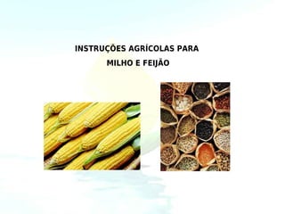 INSTRUÇÕES AGRÍCOLAS PARA
      MILHO E FEIJÃO
 