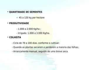 • QUANTIDADE DE SEMENTES

       - 45 a 120 kg por hectare

• PRODUTIVIDADE

       - 1.000 a 2.000 Kg/ha ;
       - Irrigado: 1.000 a 3.000 Kg/ha.
• COLHEITA

   - Ciclo de 70 a 100 dias, conforme o cultivar;
   - Quando as plantas secarem e perderem a maioria das folhas;
   - Arrancamento manual, seguido de uma breve seca.
 