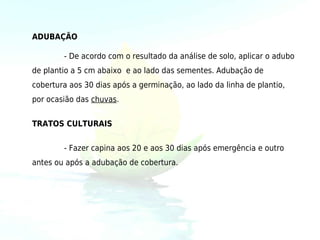 ADUBAÇÃO

        - De acordo com o resultado da análise de solo, aplicar o adubo
de plantio a 5 cm abaixo e ao lado das sementes. Adubação de
cobertura aos 30 dias após a germinação, ao lado da linha de plantio,
por ocasião das chuvas.


TRATOS CULTURAIS


        - Fazer capina aos 20 e aos 30 dias após emergência e outro
antes ou após a adubação de cobertura.
 