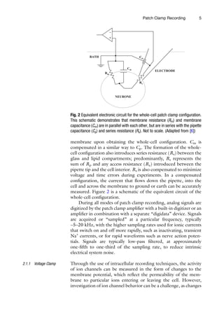 Patch Clamp Electrophysiology Methods And Protocols 1st Ed Mark Dallas ...