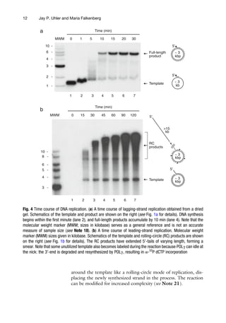 Mitochondrial Gene Expression Methods And Protocols 1st Ed Michal ...