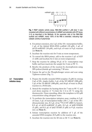 Mitochondrial Gene Expression Methods And Protocols 1st Ed Michal ...