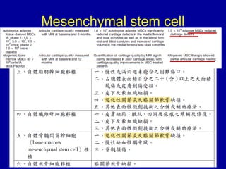 Mesenchymal stem cell
 