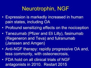Neurotrophin, NGF
• Expression is markedly increased in human
pain states, including OA
• Profound sensitizing effects on the nociception
• Tanezumab (Pfizer and Eli Lilly), fasinumab
(Regeneron and Teva) and fulranumab
(Janssen and Amgen)
• Anti-NGF therapy: rapidly progressive OA and,
less commonly, with osteonecrosis,
• FDA hold on all clinical trials of NGF
antagonists in 2010. Restart 2015
 