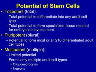 Potential of Stem Cells
• Totipotent (total):
– Total potential to differentiate into any adult cell
type
– Total potential to form specialized tissue needed
for embryonic development
• Pluripotent (plural):
– Potential to form most or all 210 differentiated adult
cell types
• Multipotent (multiple):
– Limited potential
– Forms only multiple adult cell types
• Oligodendrocytes
• Neurons
 