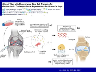 Int. J. Mol. Sci. 2023, 24, 9939
 