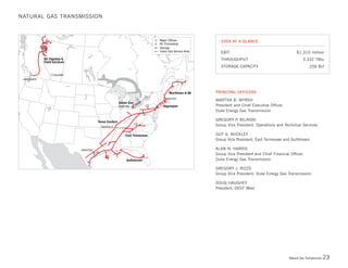 Duke-Energy 04 Stat_Supplement