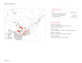 Duke-Energy 04 Stat_Supplement