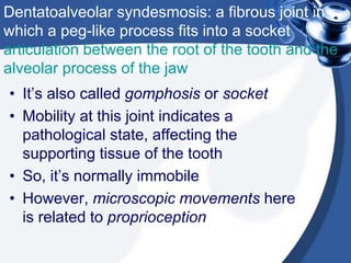 Dentatoalveolar syndesmosis: a fibrous joint in
which a peg-like process fits into a socket
articulation between the root of the tooth and the
alveolar process of the jaw
• It’s also called gomphosis or socket
• Mobility at this joint indicates a
pathological state, affecting the
supporting tissue of the tooth
• So, it’s normally immobile
• However, microscopic movements here
is related to proprioception
 
