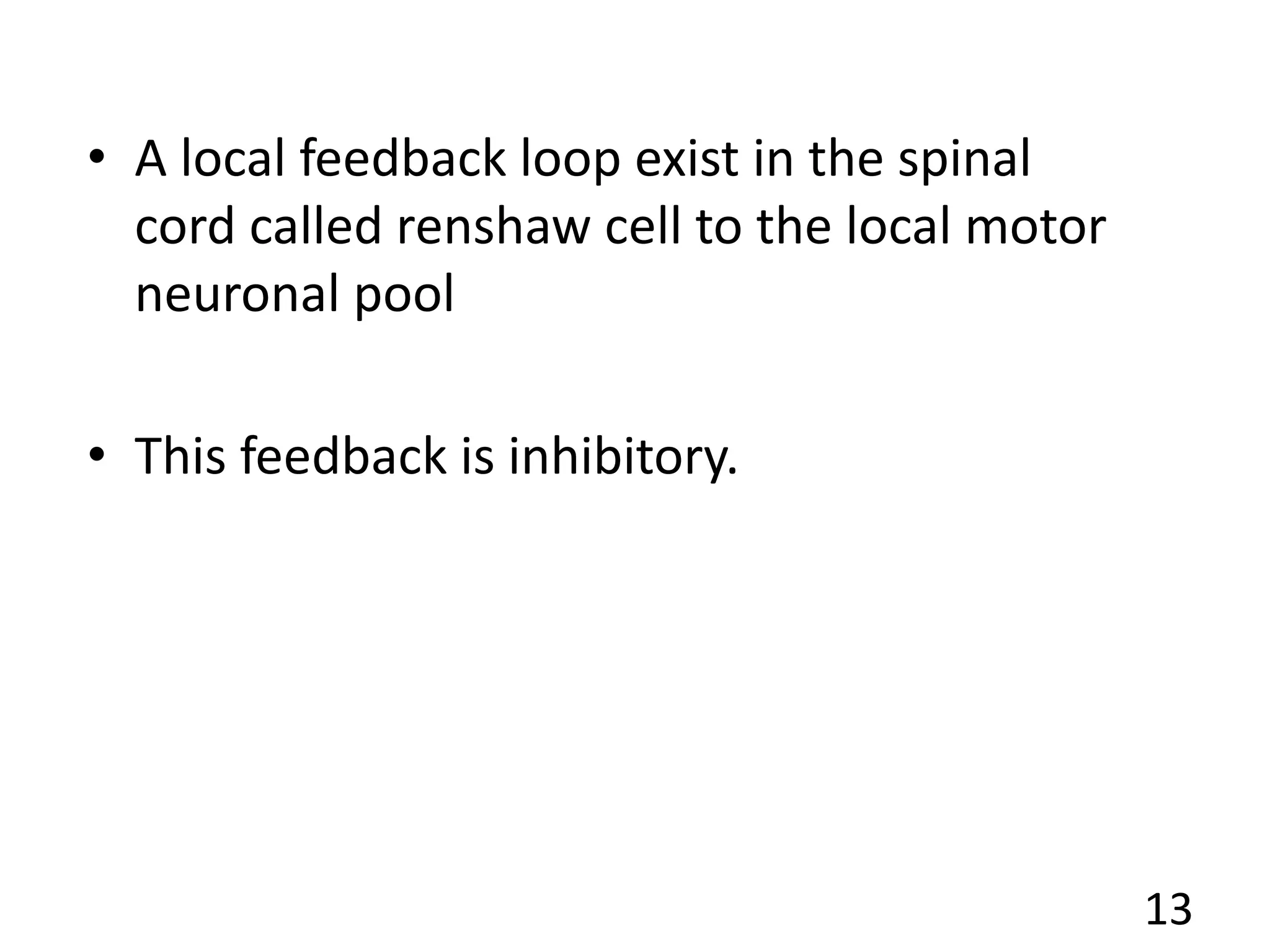 • A local feedback loop exist in the spinal
cord called renshaw cell to the local motor
neuronal pool
• This feedback is inhibitory.
13
 
