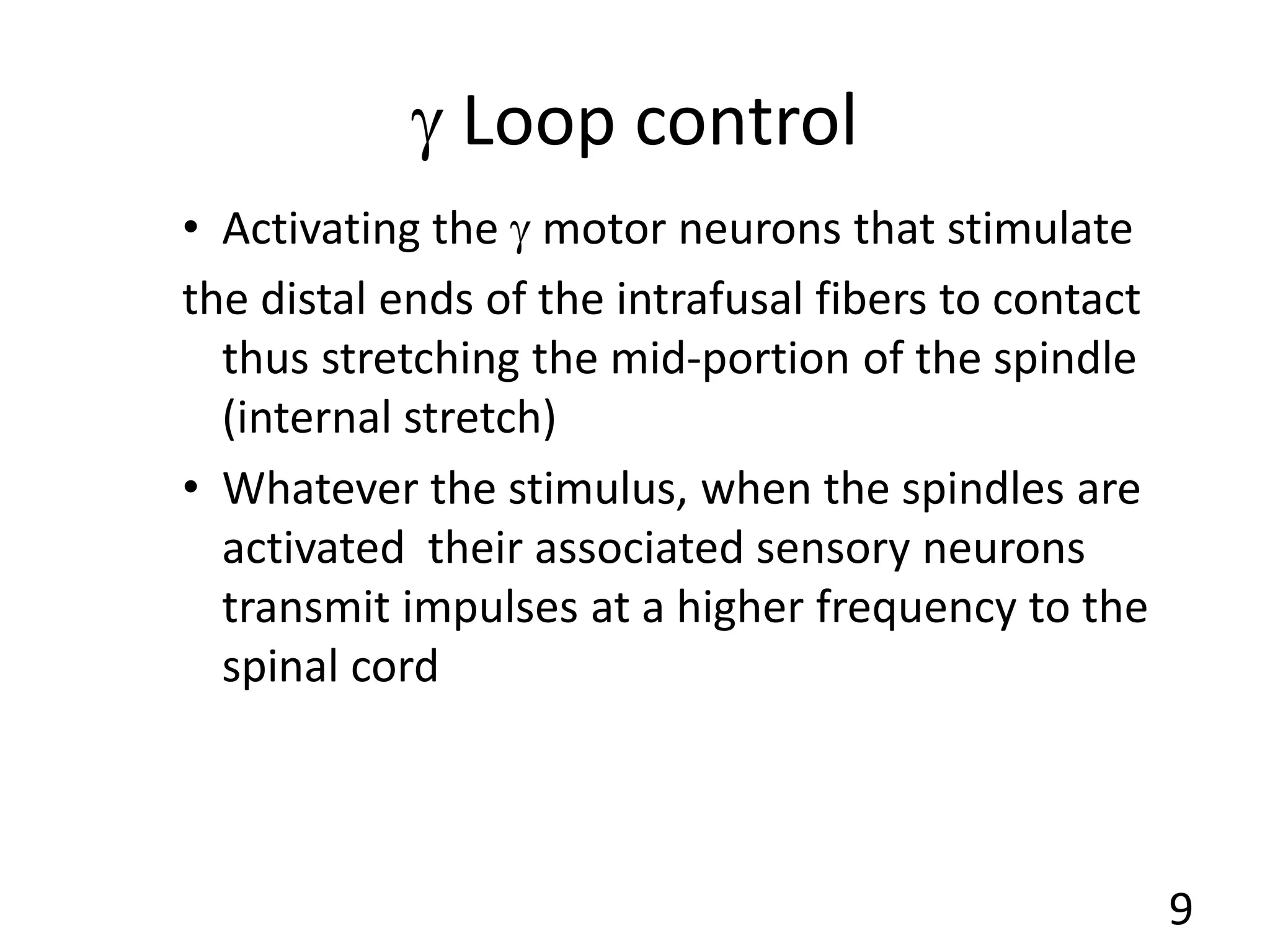  Loop control
• Activating the  motor neurons that stimulate
the distal ends of the intrafusal fibers to contact
thus stretching the mid-portion of the spindle
(internal stretch)
• Whatever the stimulus, when the spindles are
activated their associated sensory neurons
transmit impulses at a higher frequency to the
spinal cord
9
 