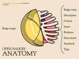 Open Badges Anatomy (Updated) by Kyle Bowen.
CC-BY-SA.
 