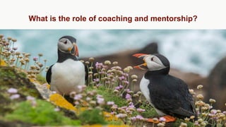 What is the role of coaching and mentorship?
 
