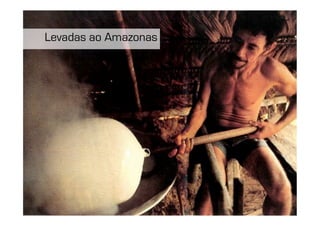 Levadas ao Amazonas
 
