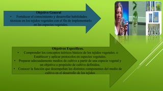 Objetivo General
• Fortalecer el conocimiento y desarrollar habilidades
técnicas en los tejidos vegetales con el fin de implementarlo
en las especies vegetales.
Objetivos Específicos.
• Comprender los conceptos teóricos básicos de los tejidos vegetales. o
Establecer y aplicar protocolos en especies vegetales.
• Preparar adecuadamente medios de cultivo a partir de una especie vegetal y
un objetivo o propósito de cultivo definidos.
• Conocer la función que desempeñan los distintos componentes del medio de
cultivo en el desarrollo de los tejidos
 