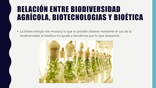 RELACIÓN ENTRE BIODIVERSIDAD
AGRÍCOLA, BIOTECNOLOGIAS Y BIOÉTICA
• La biotecnología nos muestra lo que es posible obtener mediante el uso de la
biodiversidad, la bioética no ayuda a decidirnos por lo que deseamos.
 