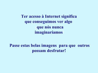 Ter acesso à Internet significa 
que conseguimos ver algo 
¡que nós nunca  
imaginaríamos!
Passe estas belas imagens  para que  outros 
possam desfrutar!
 