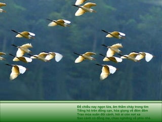 Để chiều nay ngọn lửa, âm thầm cháy trong tim Tiếng hò trên đồng cạn, hòa giọng về đêm đêm Trao mùa xuân đôi cánh, hỏi ai còn nơi xa Sao cánh cò đồng mẹ, chao nghiêng về phía nhà. 