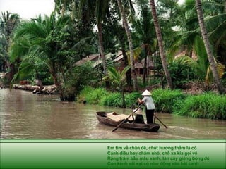 Em tìm về chân đê, chút hương thầm lá cỏ Cánh diều bay chấm nhỏ, chỗ xa kia gọi về Rặng trâm bầu màu xanh, tàn cây giông bông đỏ Con kênh vài vạt cỏ như động vào bát canh 