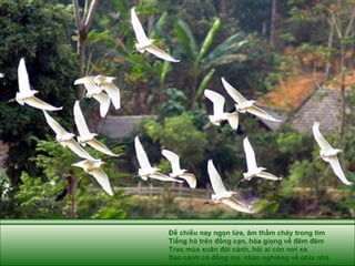 Để chiều nay ngọn lửa, âm thầm cháy trong tim Tiếng hò trên đồng cạn, hòa giọng về đêm đêm Trao mùa xuân đôi cánh, hỏi ai còn nơi xa Sao cánh cò đồng mẹ, chao nghiêng về phía nhà. 