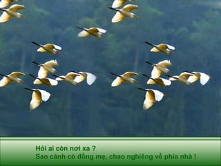 Hỏi ai còn nơi xa ?  Sao cánh cò đồng mẹ, chao nghiêng về phía nhà !  