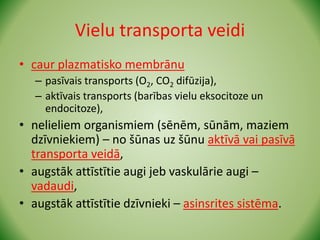 Vielu transporta veidi
• caur plazmatisko membrānu
– pasīvais transports (O2, CO2 difūzija),
– aktīvais transports (barības vielu eksocitoze un
endocitoze),
• nelieliem organismiem (sēnēm, sūnām, maziem
dzīvniekiem) – no šūnas uz šūnu aktīvā vai pasīvā
transporta veidā,
• augstāk attīstītie augi jeb vaskulārie augi –
vadaudi,
• augstāk attīstītie dzīvnieki – asinsrites sistēma.
 